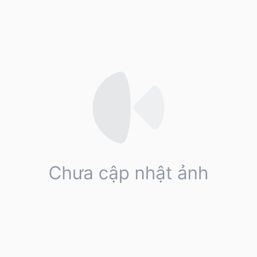 Giường xoan đào thường mẫu kẻ M01